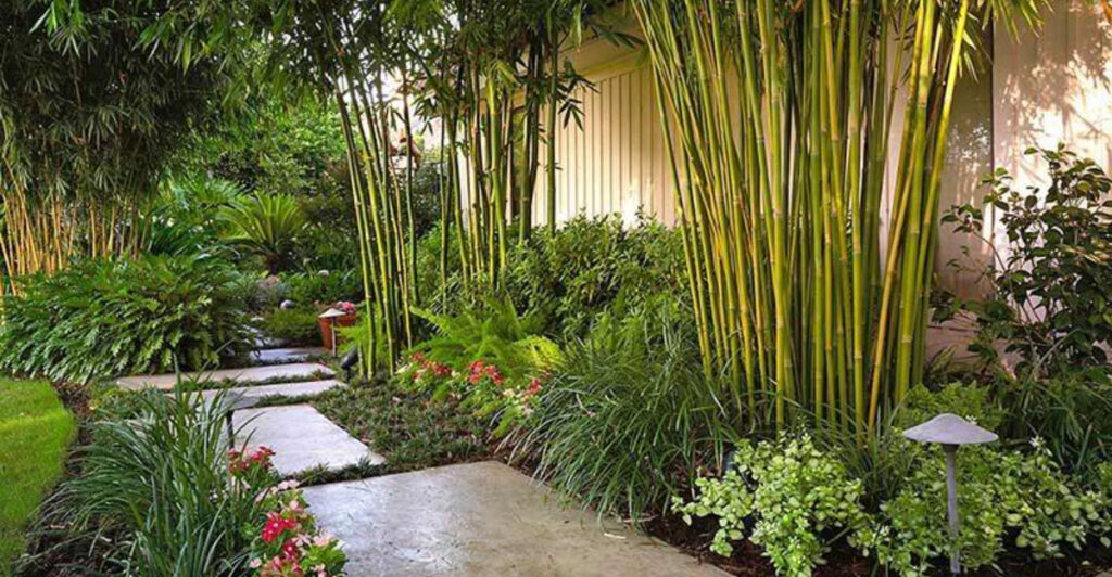 Georgia’s Secret Backyard Oasis Where Native Plants Create a Tropical Feel