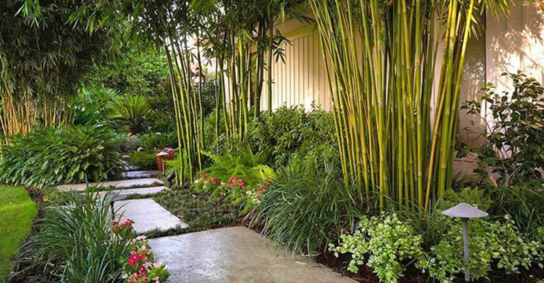 Georgia’s Secret Backyard Oasis Where Native Plants Create a Tropical Feel