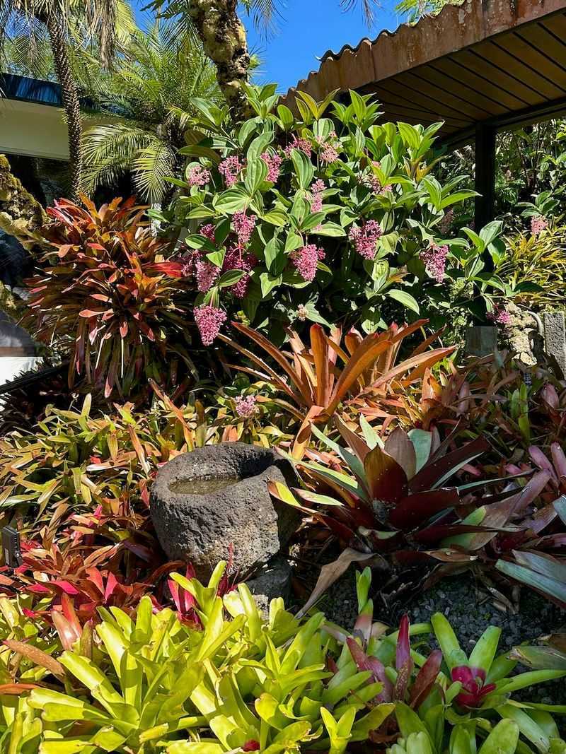 Exotic Plant Collections