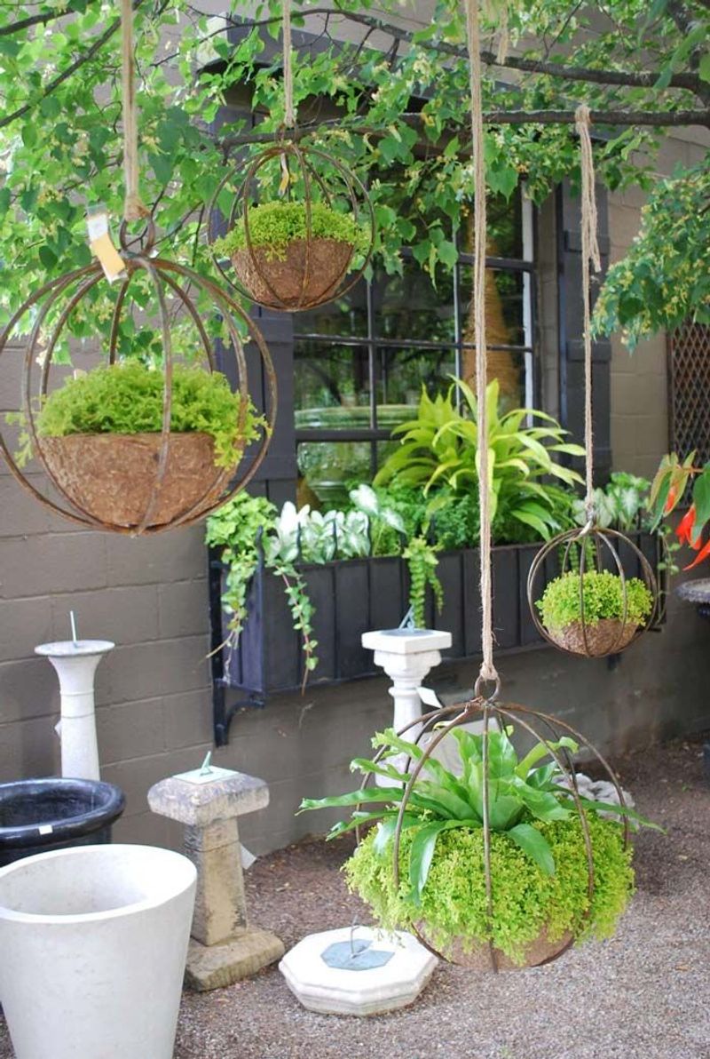 Hanging Plant Pots