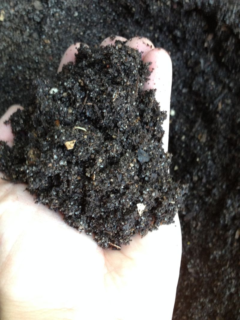 Soil Is Warm, Moist, and Ready