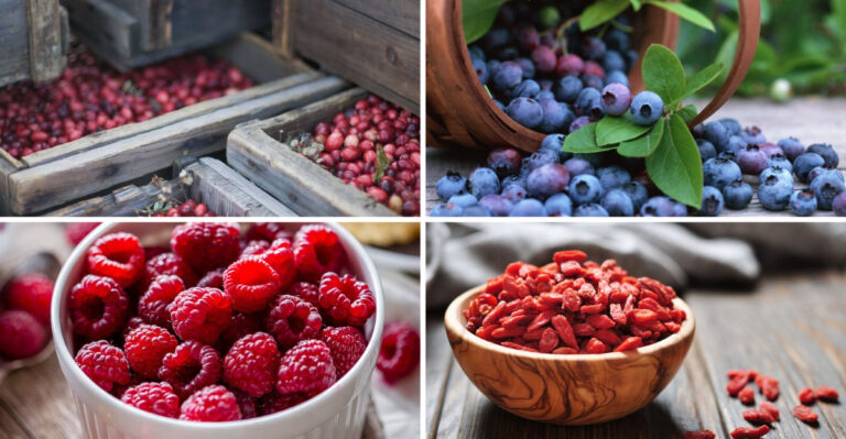 Grow These 20 Tiny Fruits for Big Anti-Aging Benefits