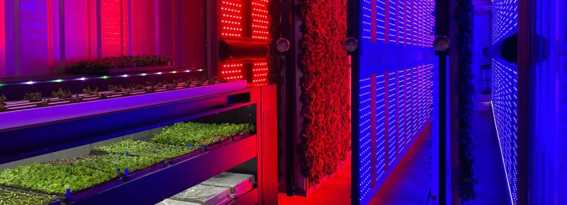 Tech-Savvy Farming: A Digital Side Hustle