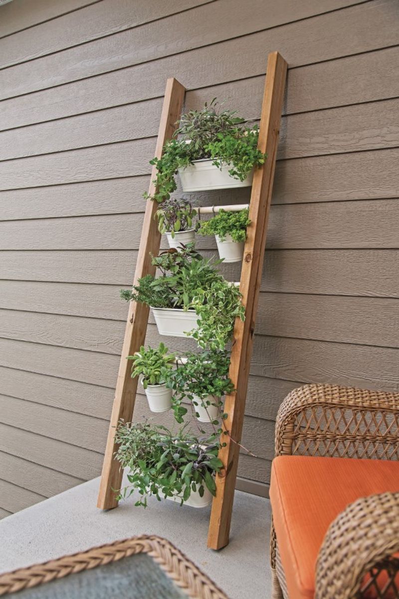 Ladder Shelf Garden