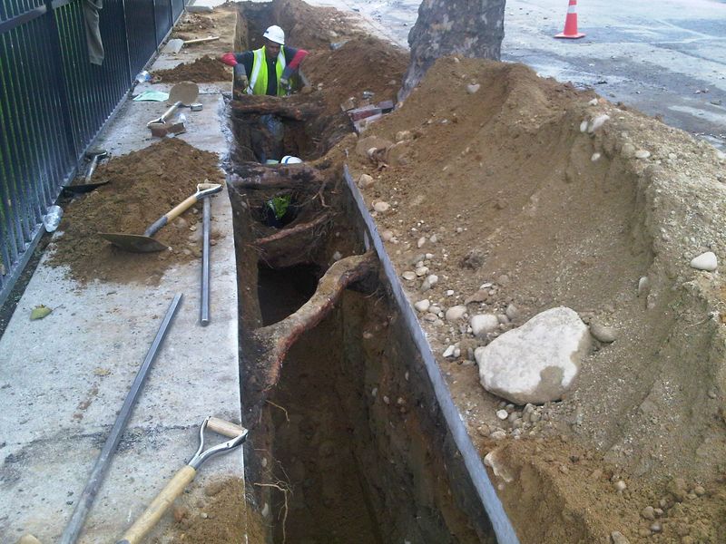 Root System Disruption