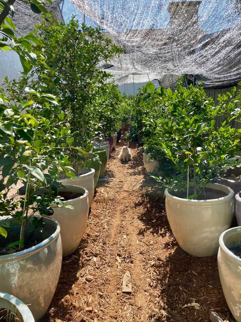 Temperature Control for Consistent Harvests