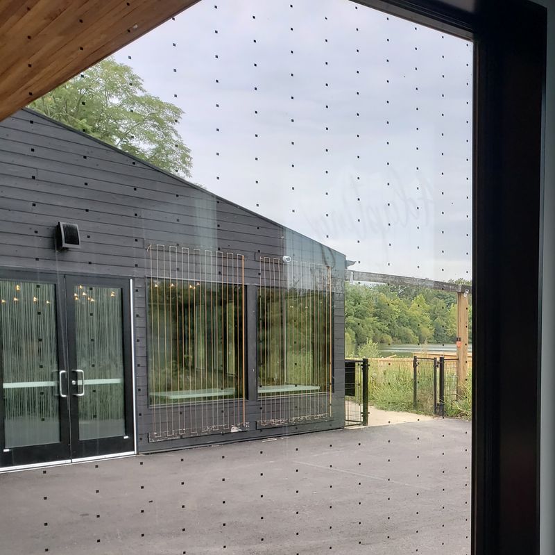 Introduce Bird-Safe Glass