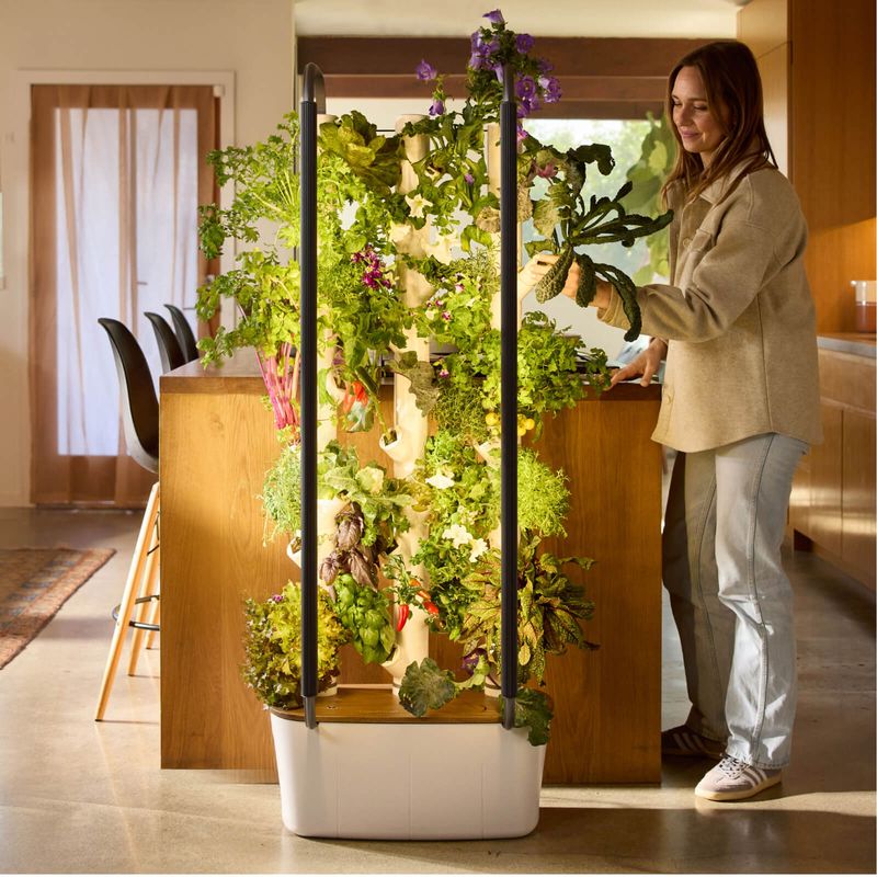 Vertical Hydroponic System