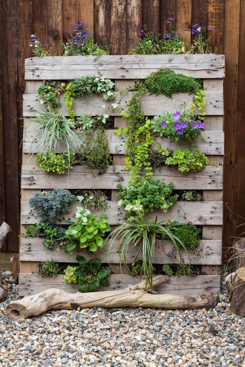 Pallet Planter Wall