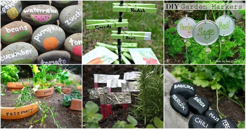 Repairing Broken Plant Labels