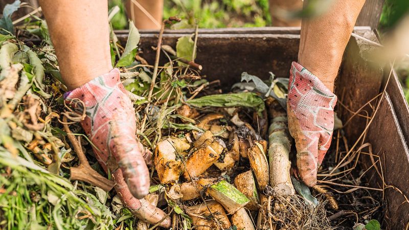 Compost Isn’t Just Waste—It’s Plant Fuel