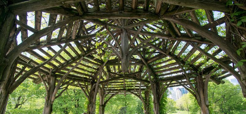 Rustic Pergolas