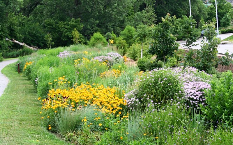 Native Plant Beds