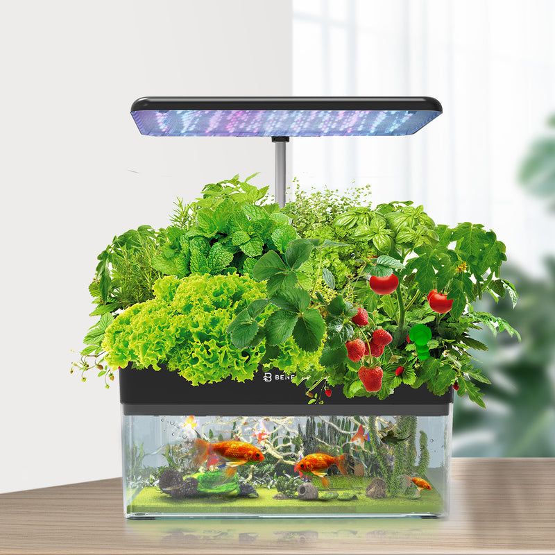 Aquaponics Adventure