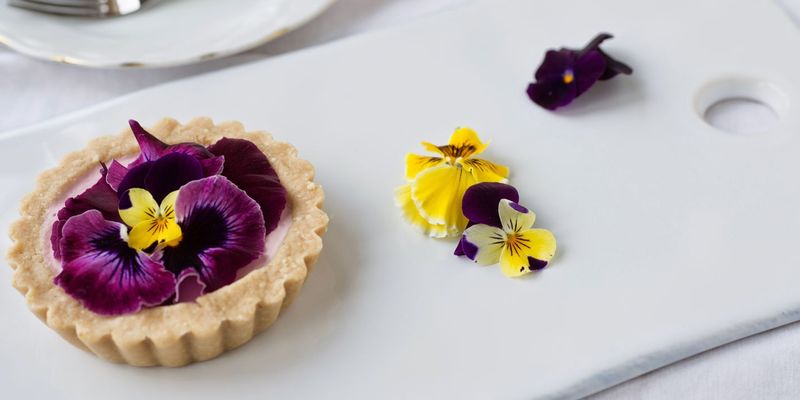 Pansies – Mild and grassy, ideal for plating elegance.