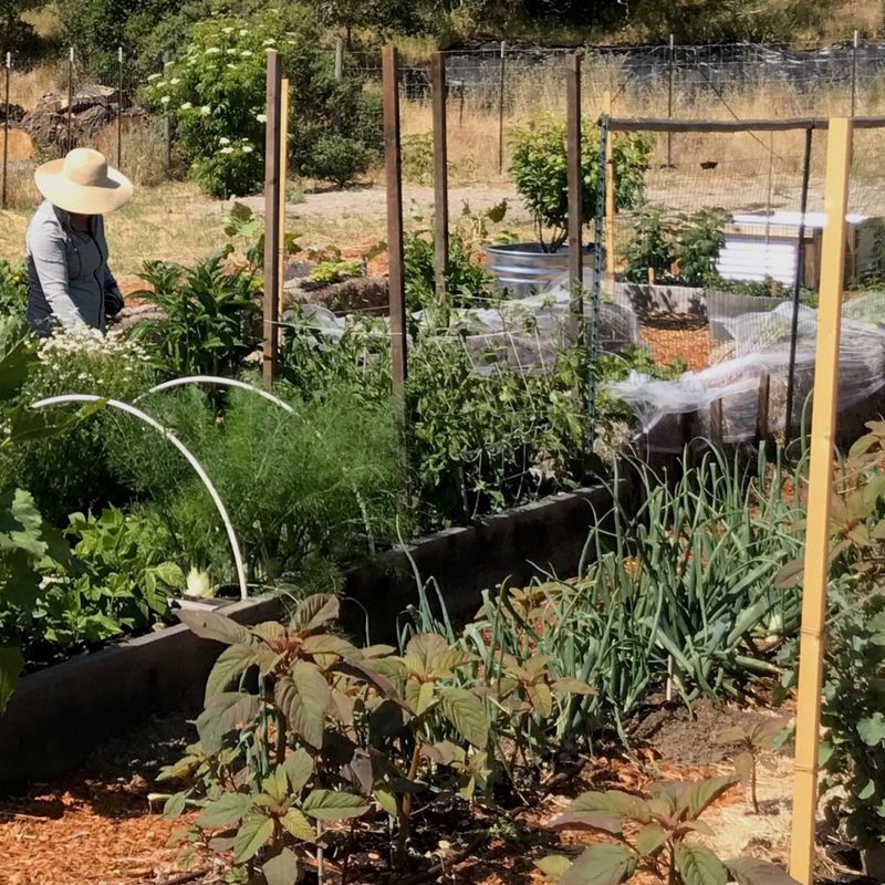 Forgetting to Rotate Crops