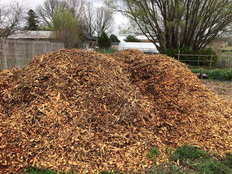 Wood Chip Mulching