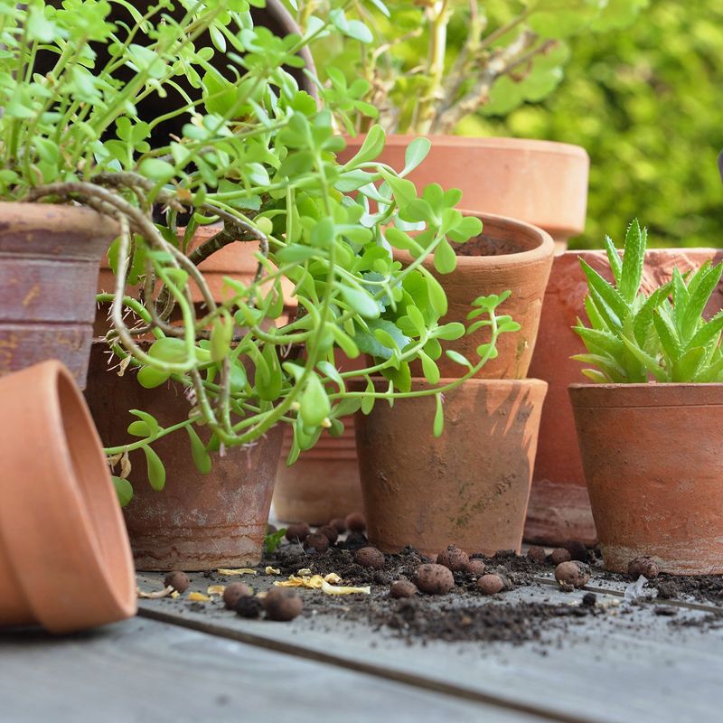 Enhancing Soil Quality