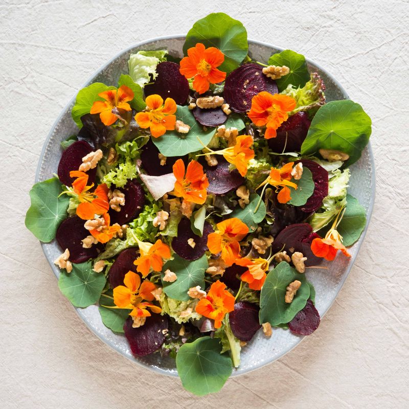 Nasturtiums – Spicy, like arugula—toss in salads or garnish tacos.