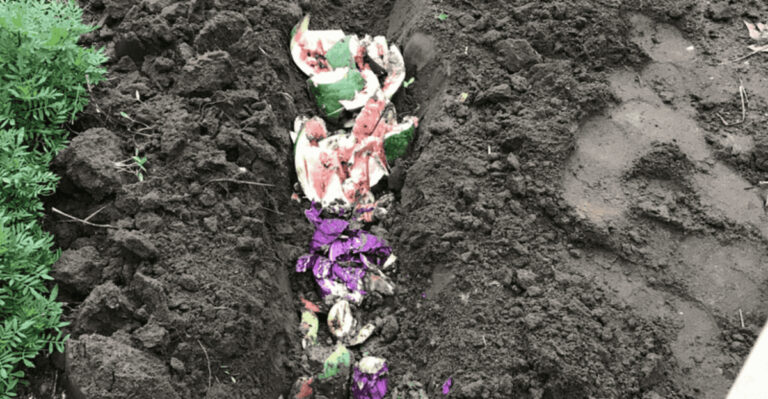 How Missouri Gardeners Are Turning Scraps Into Fertilizer With No Compost Bin