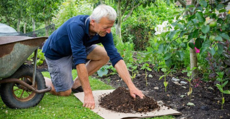 How to Build a Thriving No-Dig Garden (Less Work, More Harvest)