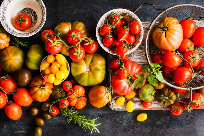Choosing the Right Tomato Variety