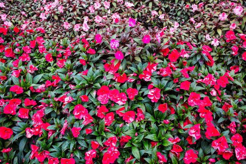 Poor Air Circulation