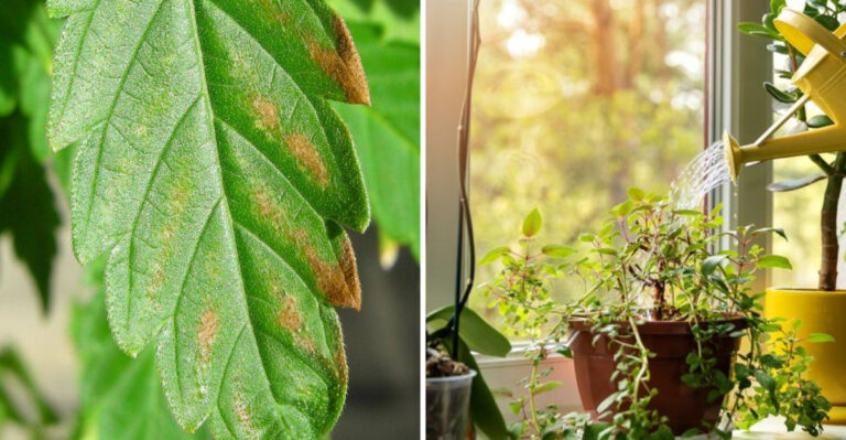 I Quit These 15 Gardening Habits – My Garden Exploded With Life
