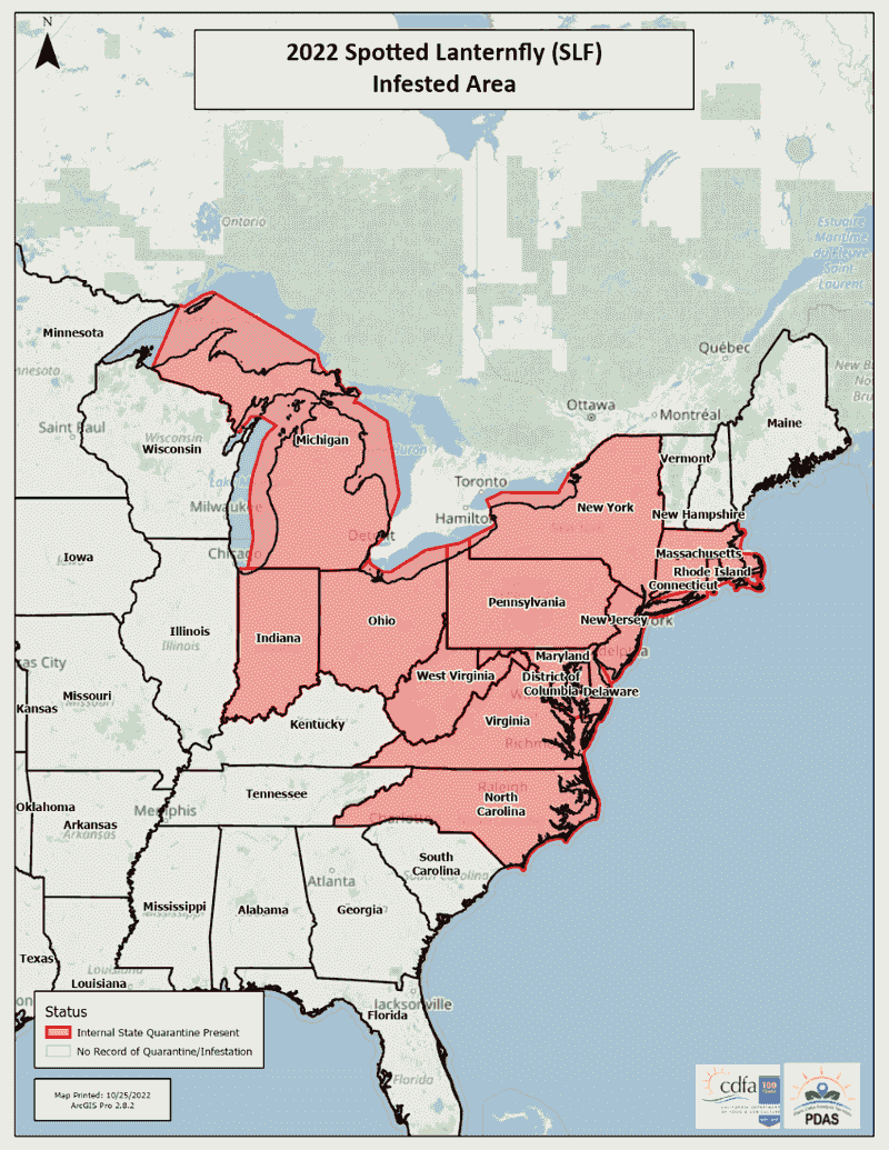 Rapid Spread Across States