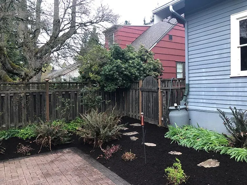 Neglected Hardscapes
