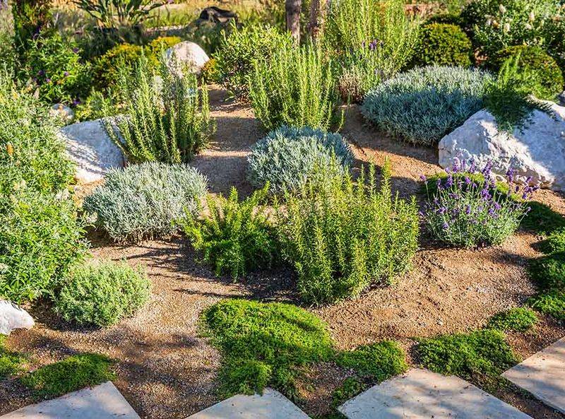 Neglecting Plant Spacing