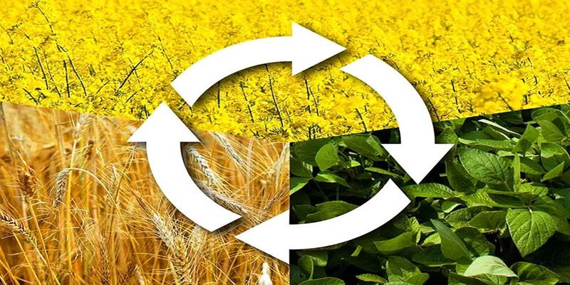 Failing to Rotate Crops