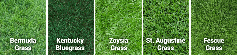 Failing to Account for Different Grass Types