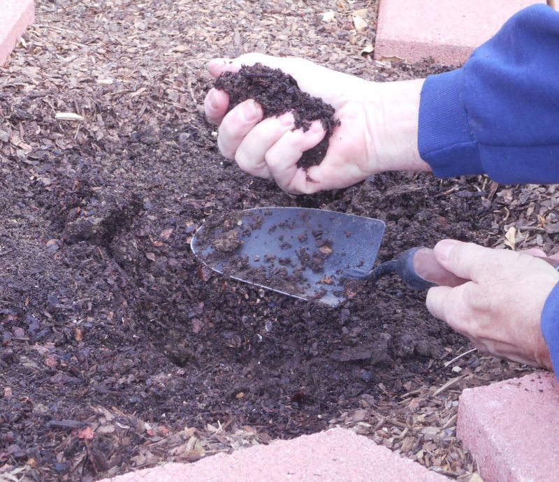 Enhancing Soil Quality