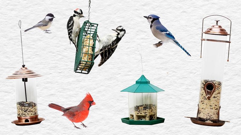 Inadequate Feeder Variety