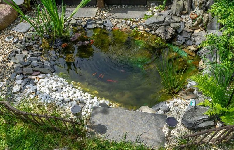 Neglecting Water Features