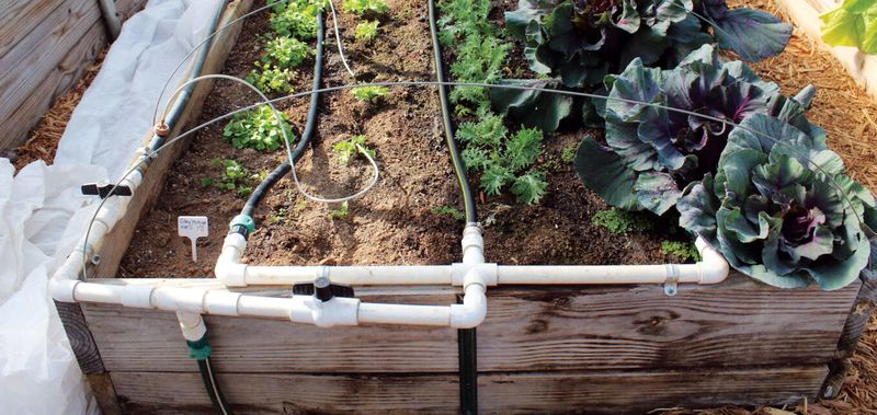 Poor Irrigation Planning