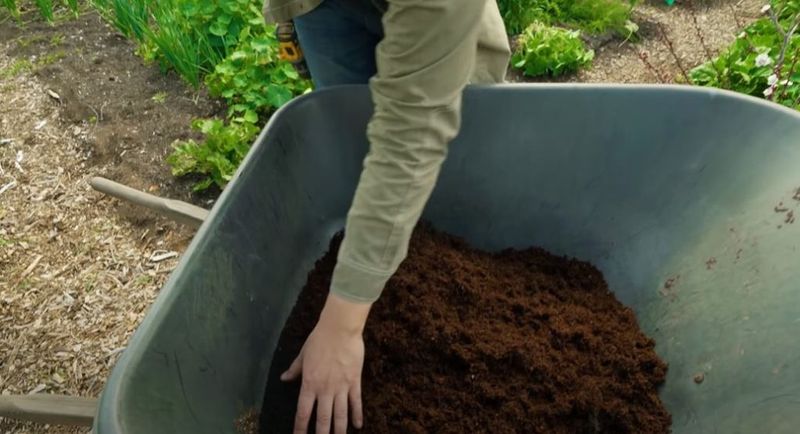 Using Garden Soil