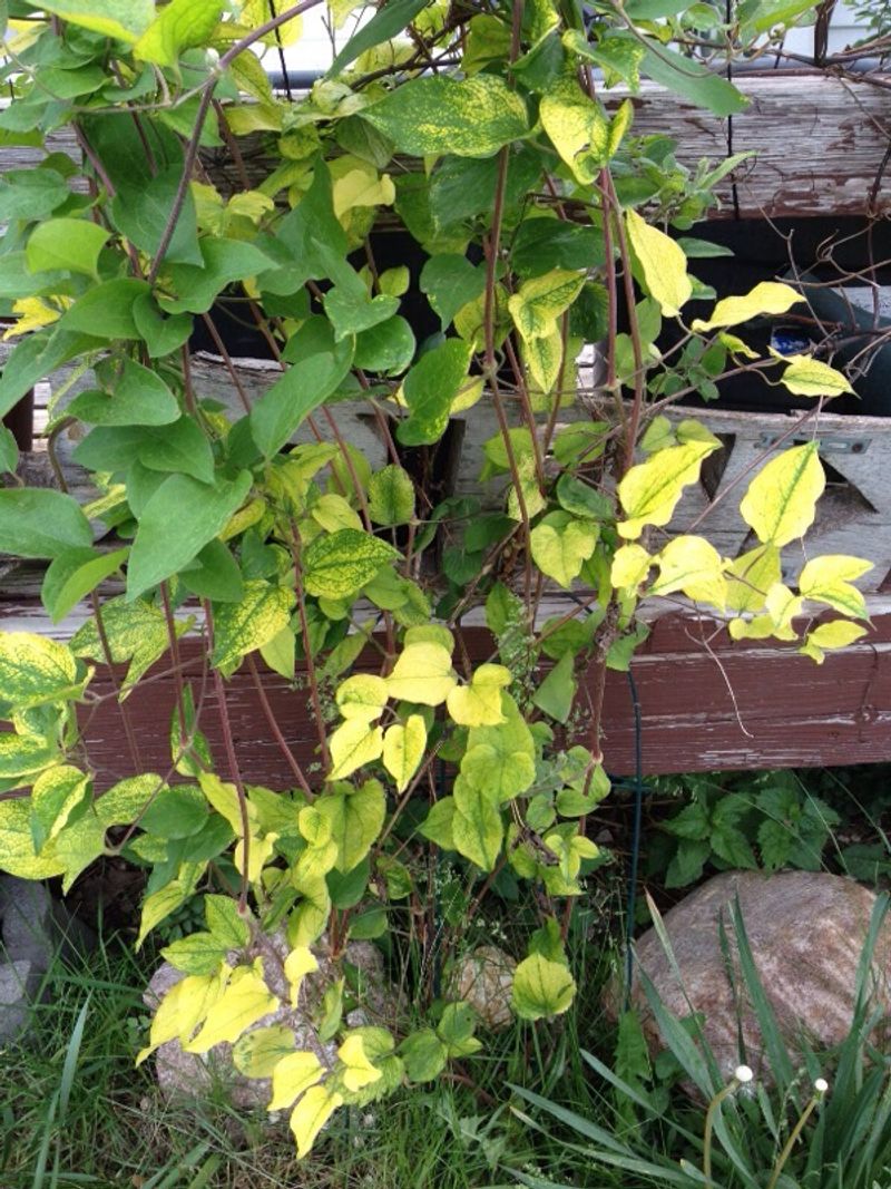 Adjusting Nutrient Levels