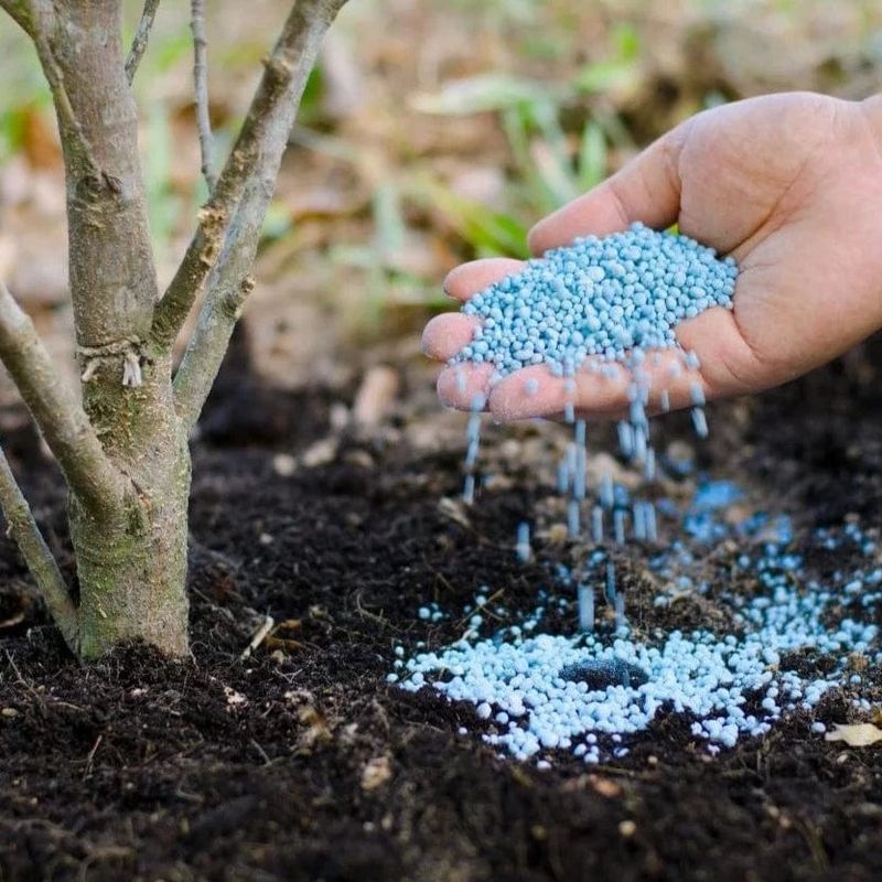 Apply Slow-Release Fertilizers