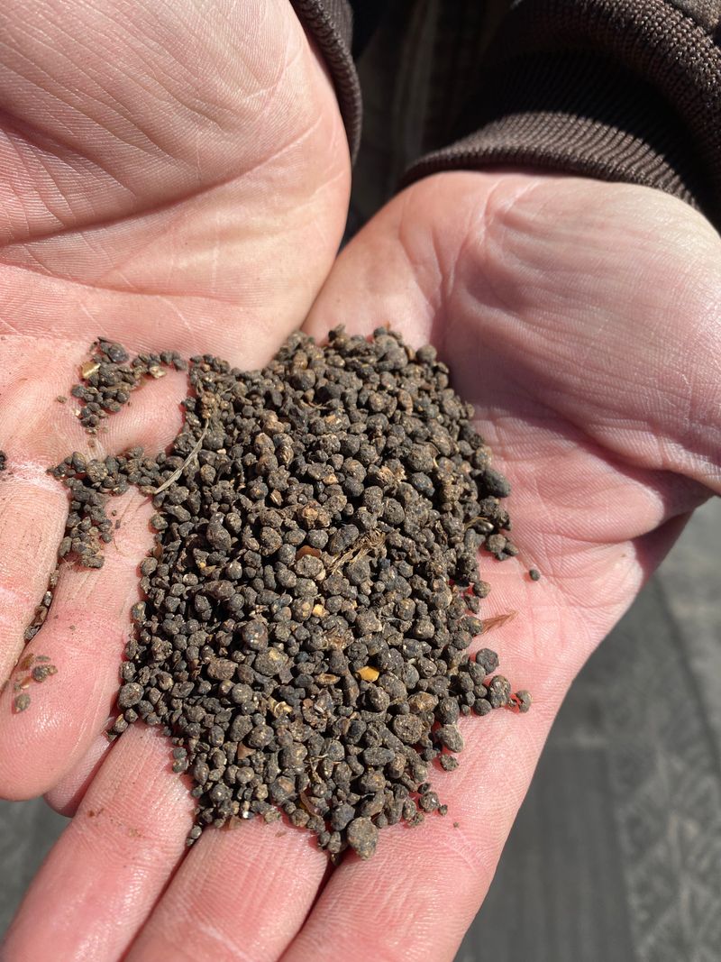 Opt for Balanced NPK Fertilizers