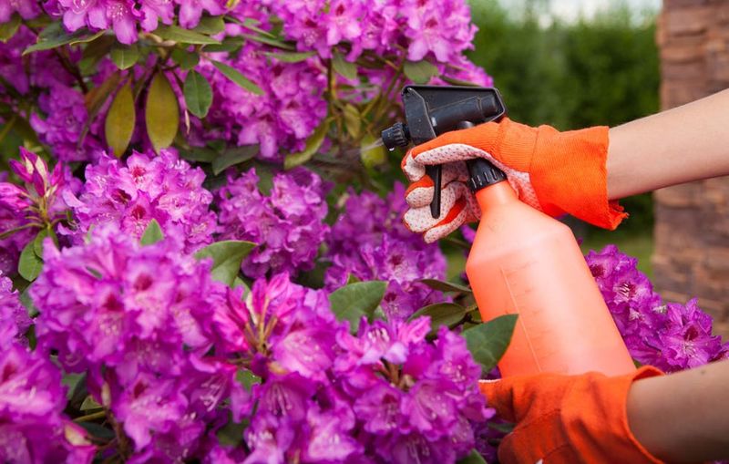 Using Organic Pesticides