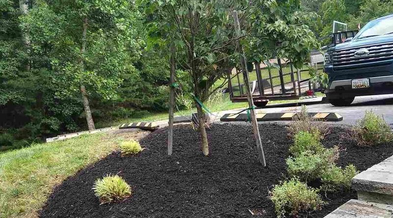 Neglecting Mulch Topping