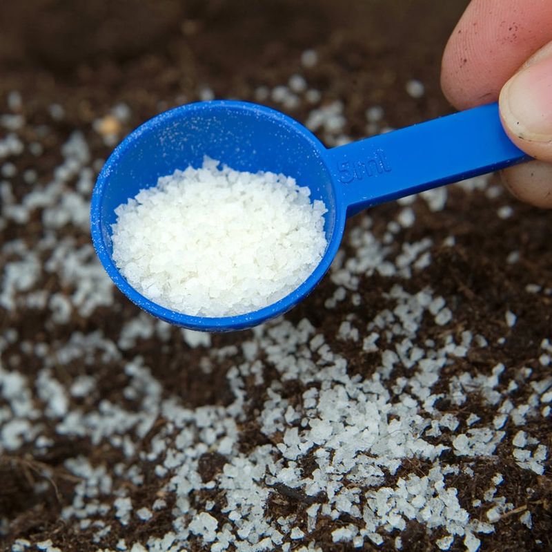 Add Water-Retaining Crystals (If Needed)