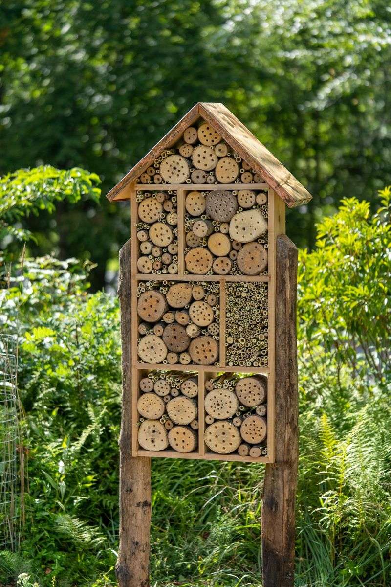 Build a Bee Hotel