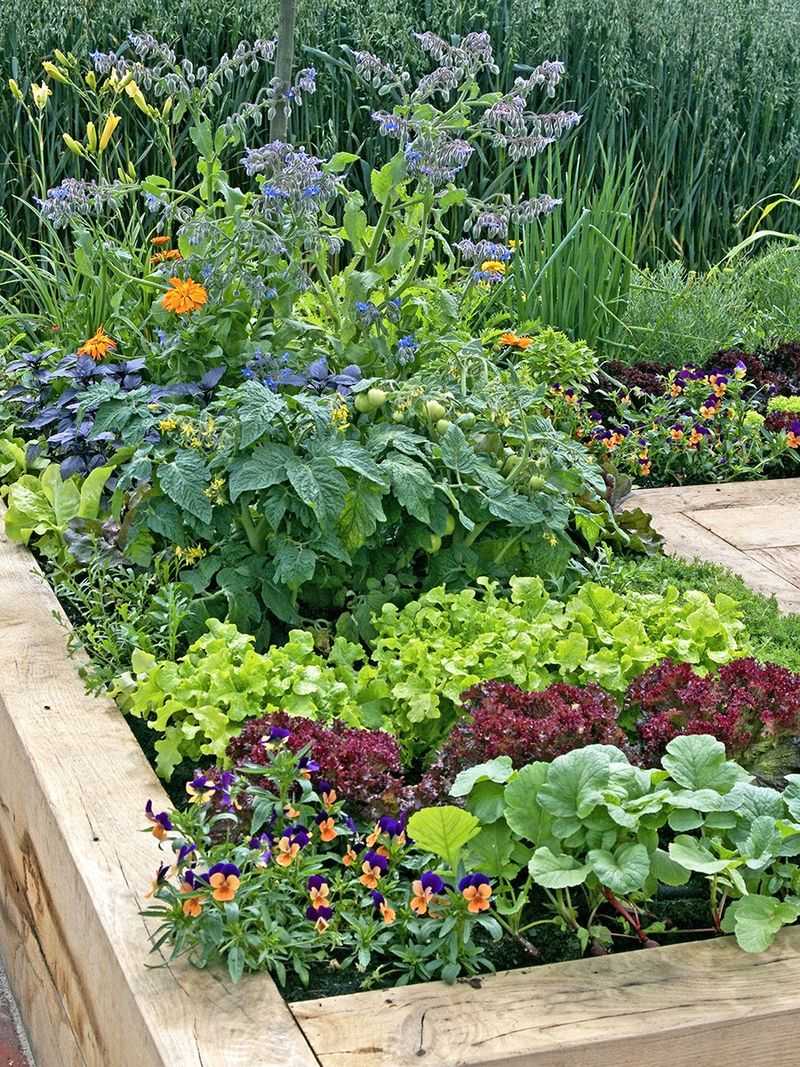 Use Edible Landscaping
