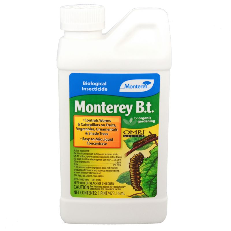 Spray with Bacillus thuringiensis (Bt)