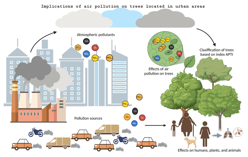 Air Pollution Damage