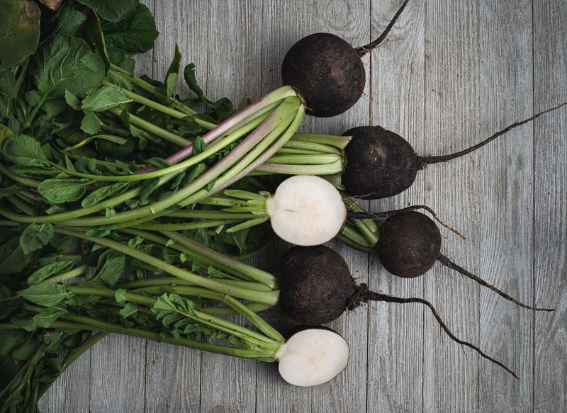 Black Spanish Radish
