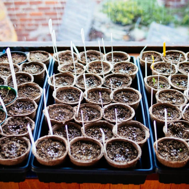 Start Small If You're New